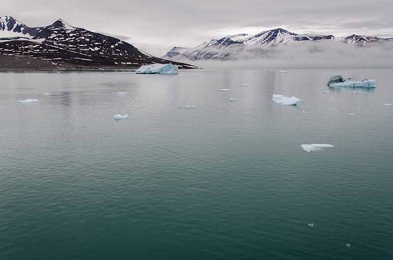 133 - Noruega - islas Svalbard - isla de Spitsbergen - fiordo Liefdefjord - glaciar Monacobreen